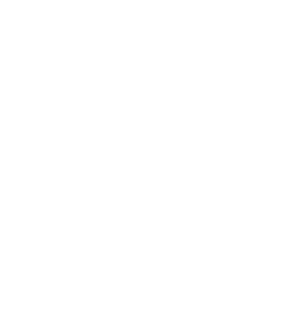 Logotipo Venquish